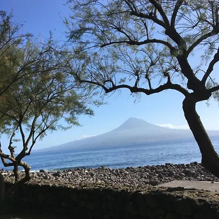 Faial Casa Dankari