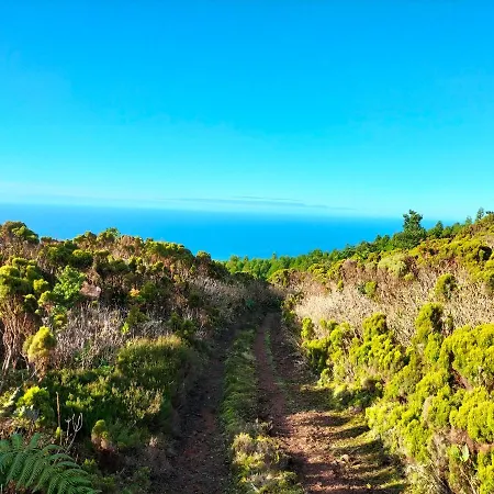 Faial Casa Dankari Bed & Breakfast Ribeirinha (Faial)
